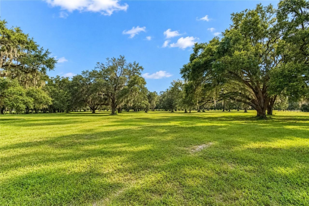 7590 NW 75th Street, Chiefland, FL 32626 Photo