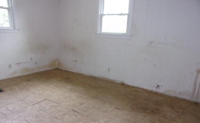 413 Swansea Heights Avenue Photo 7