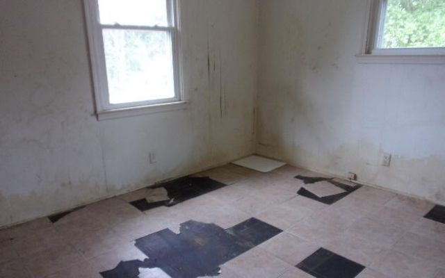 413 Swansea Heights Avenue Photo 8