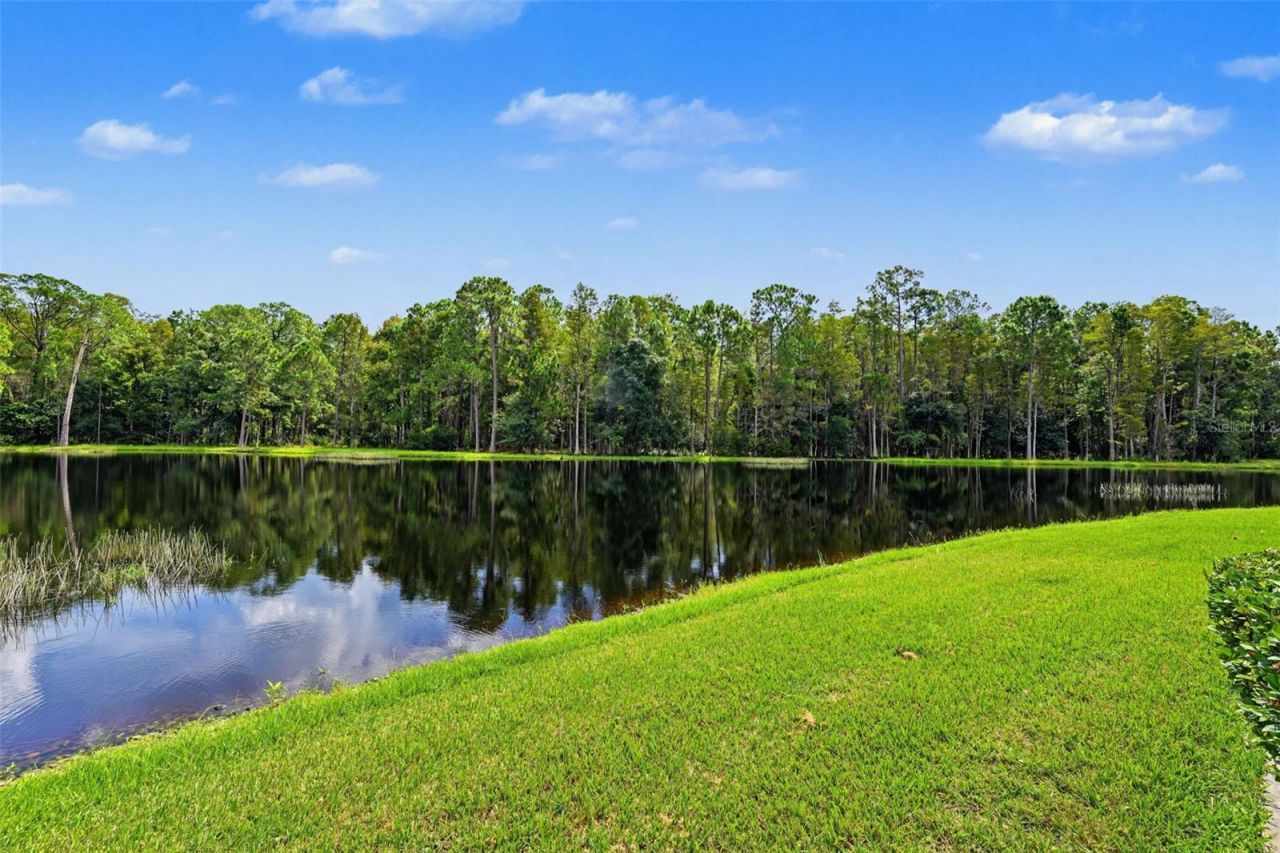 1300 Trimaran Place , Trinity, FL 34655 Photo