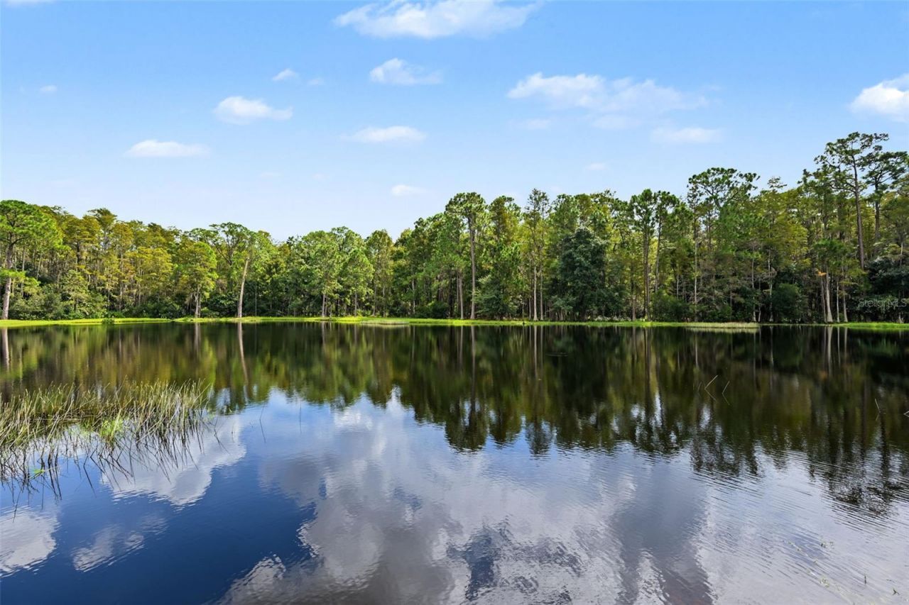 1300 Trimaran Place , Trinity, FL 34655 Photo