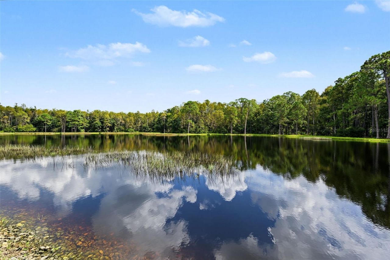 1300 Trimaran Place , Trinity, FL 34655 Photo