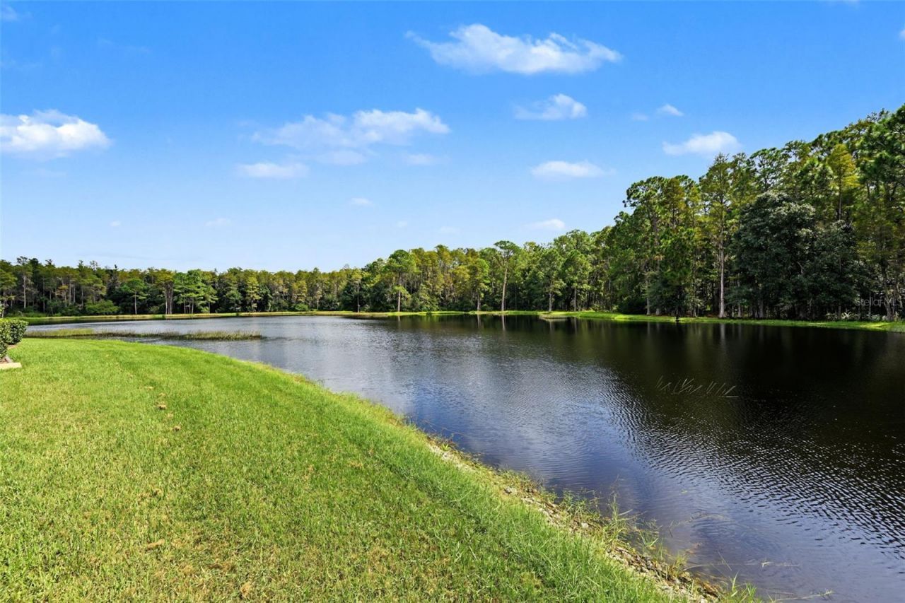 1300 Trimaran Place , Trinity, FL 34655 Photo