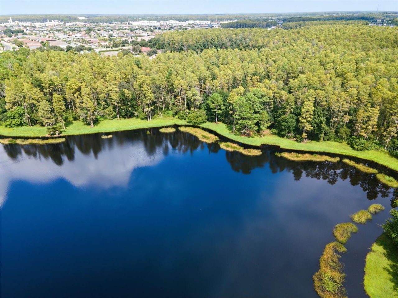 1300 Trimaran Place , Trinity, FL 34655 Photo