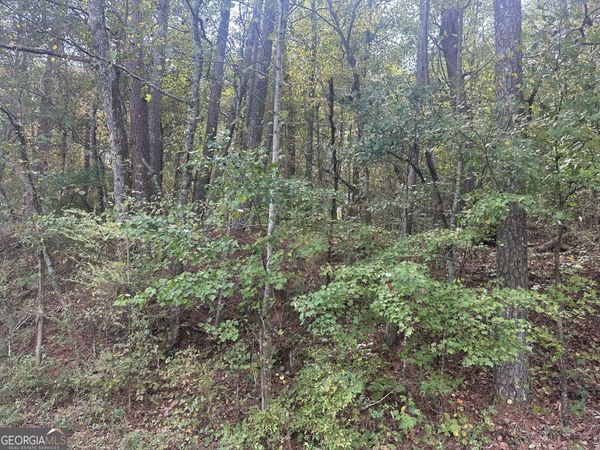 00 Carver Mill Road, Talking Rock, GA 30175