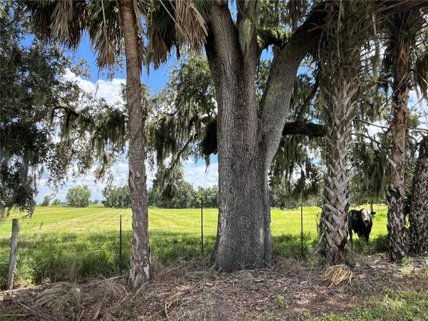 JOHNS ROAD , WAUCHULA, FL 33873