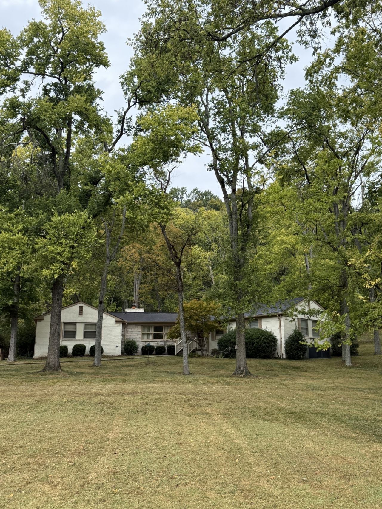 6528 Jocelyn Hollow Rd  Nashville, TN 37205