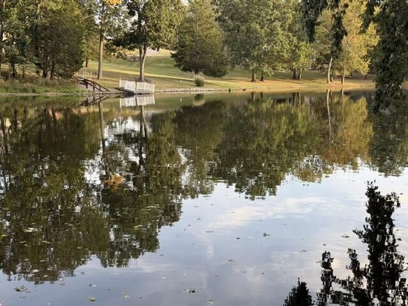 1165 Inverness Road, Perry Park, KY 40363 Photo 39