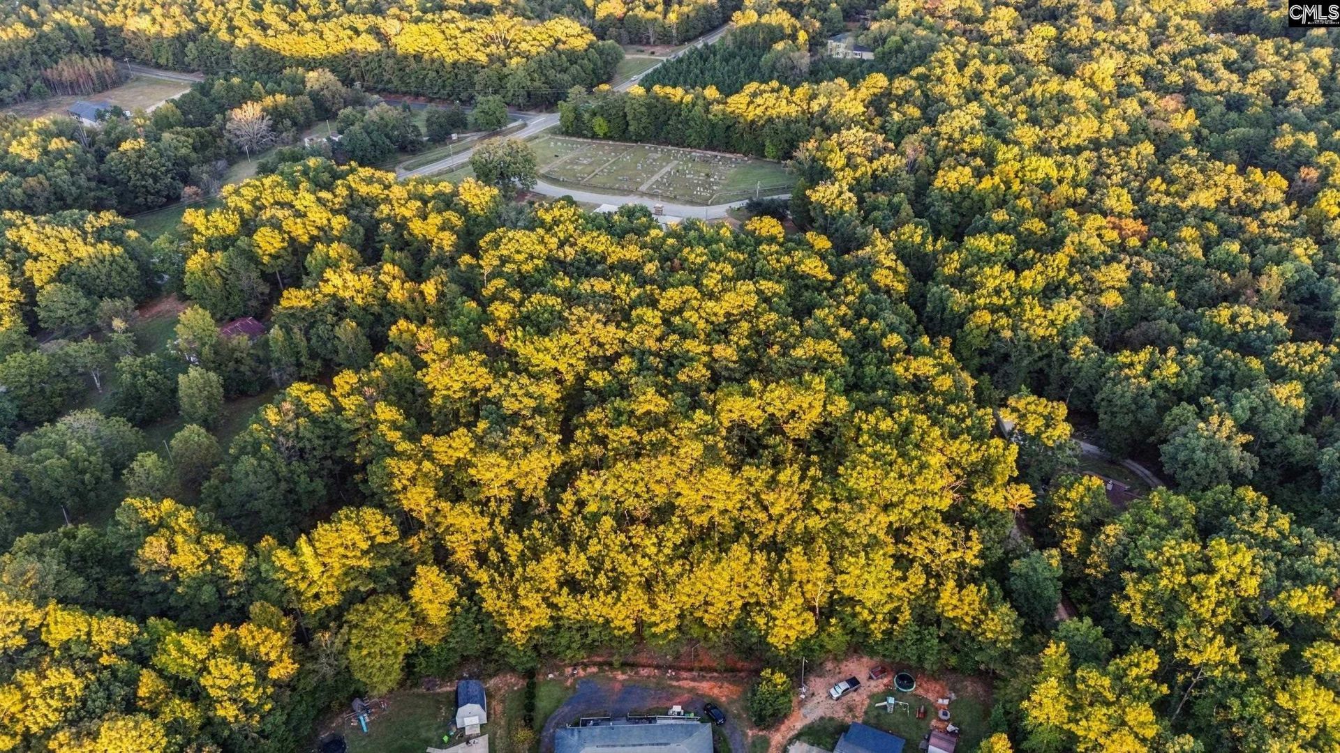 2458 Chapin Road Photo 14