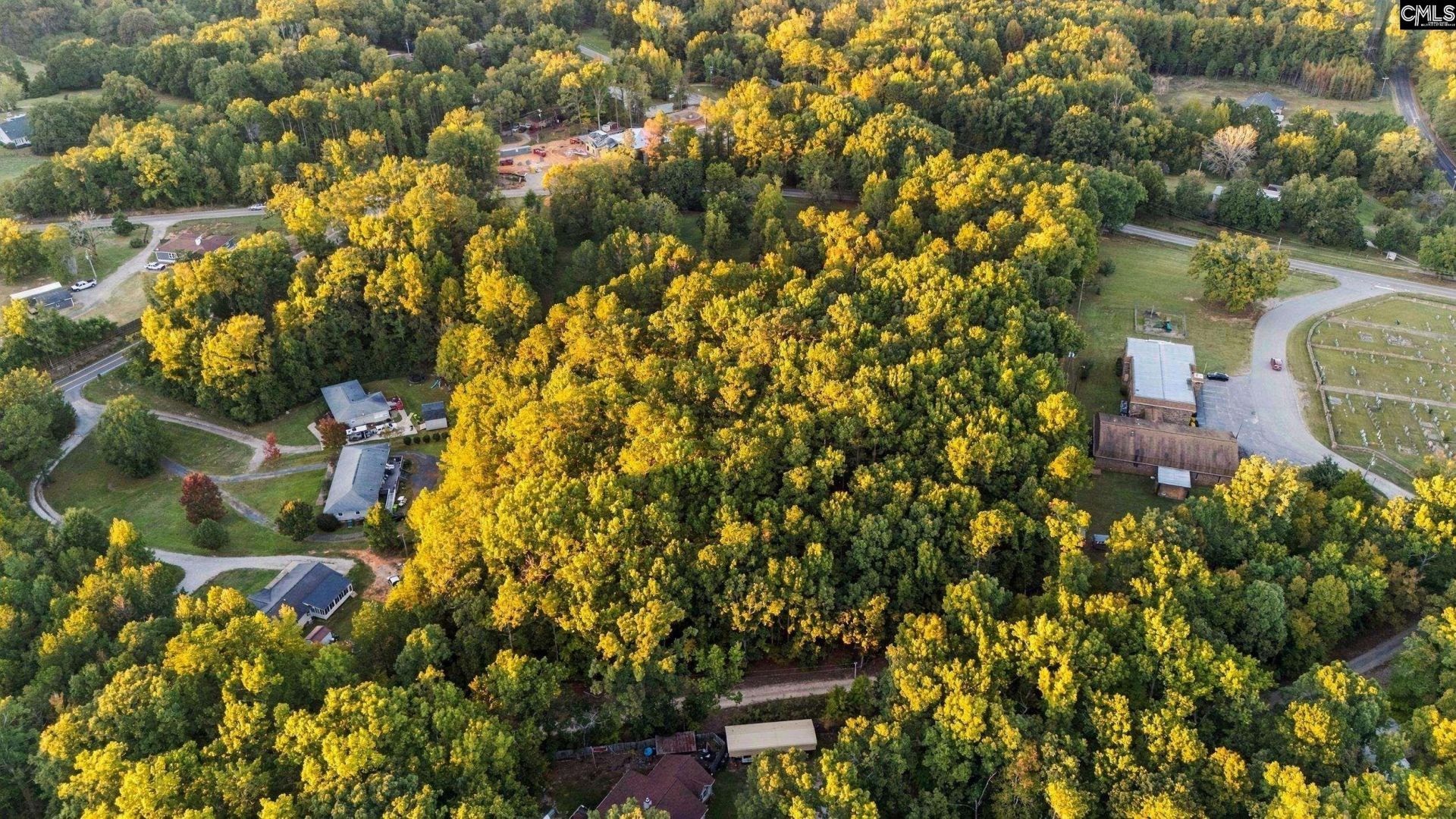 2458 Chapin Road Photo 5
