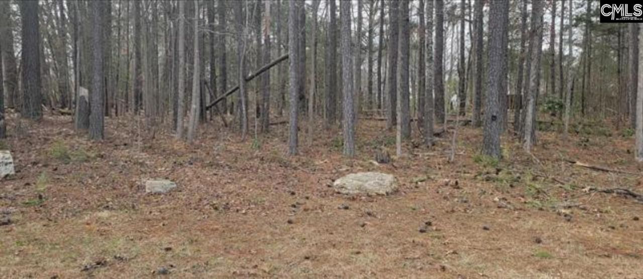 2458 Chapin Road  Photo 5
