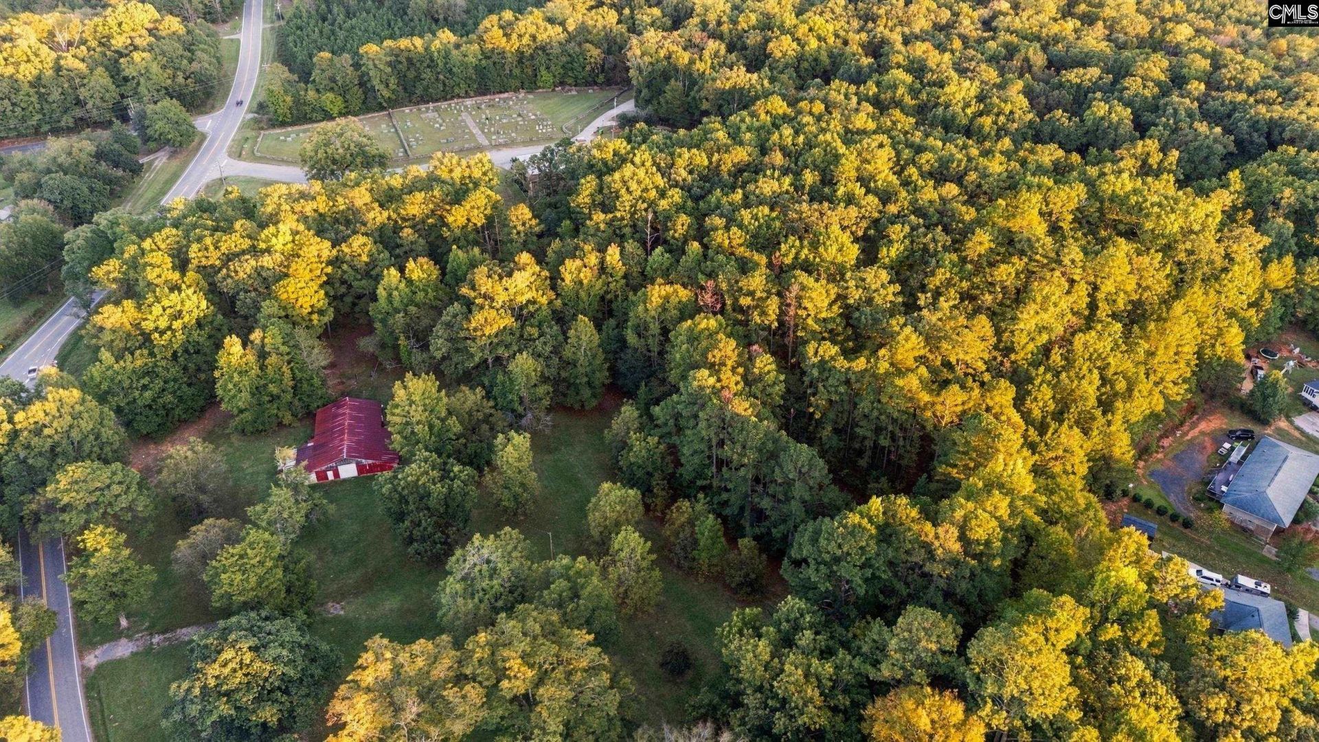 2458 Chapin Road Photo 6