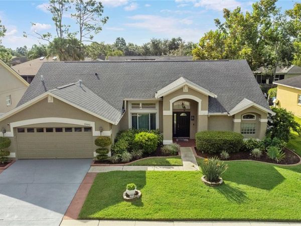 28402 OPENFIELD LOOP, WESLEY CHAPEL, FL 33543