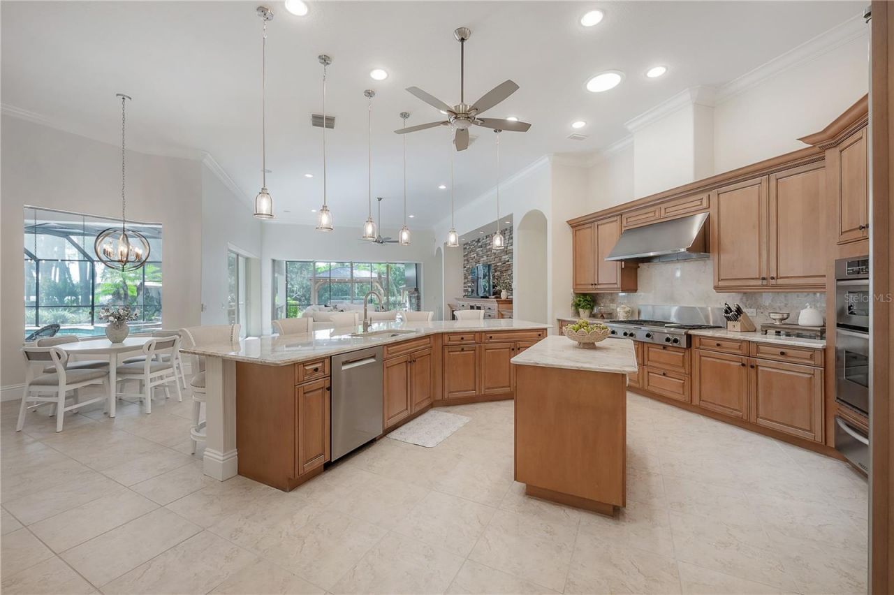 21228 Quiet Haven Court, Land O Lakes, FL 34637 Photo