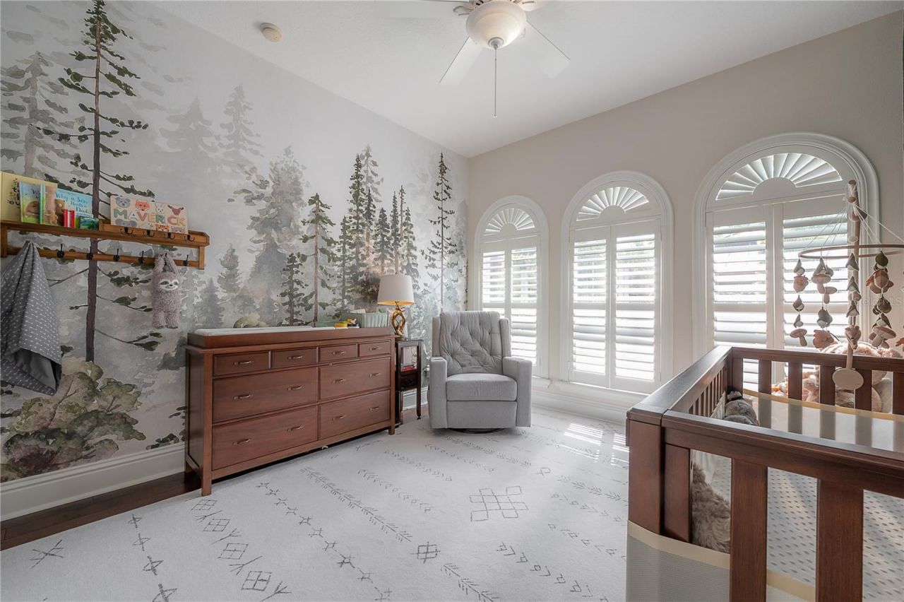 21228 Quiet Haven Court, Land O Lakes, FL 34637 Photo