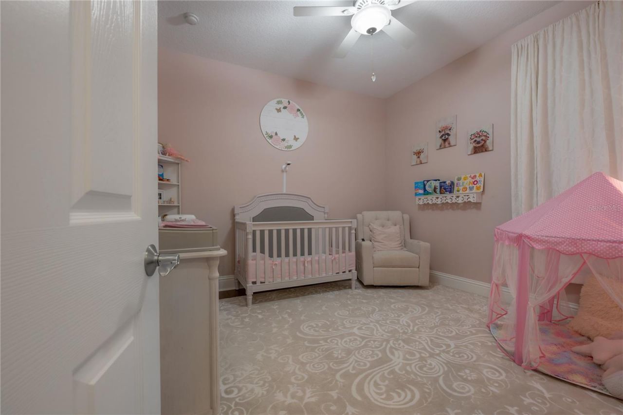21228 Quiet Haven Court, Land O Lakes, FL 34637 Photo