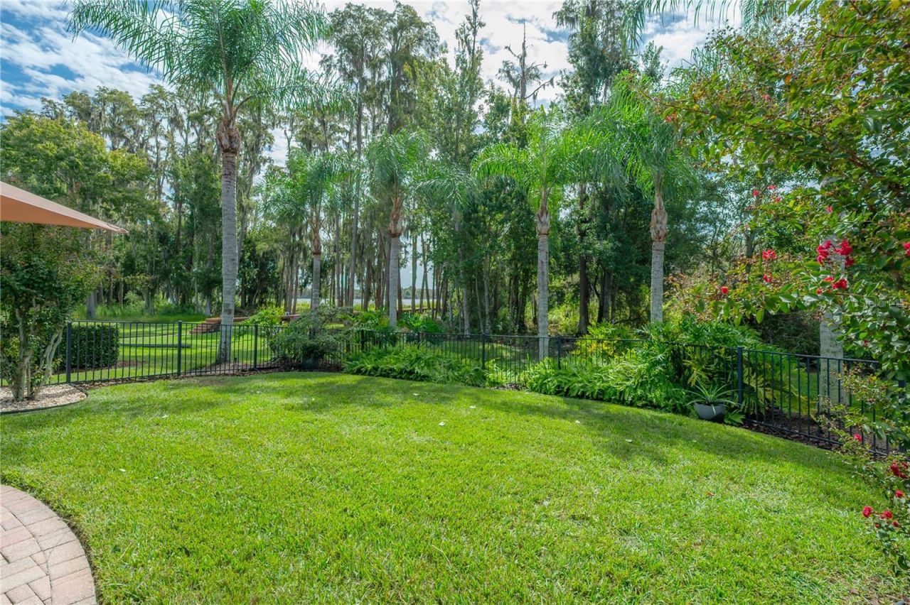 21228 Quiet Haven Court, Land O Lakes, FL 34637 Photo