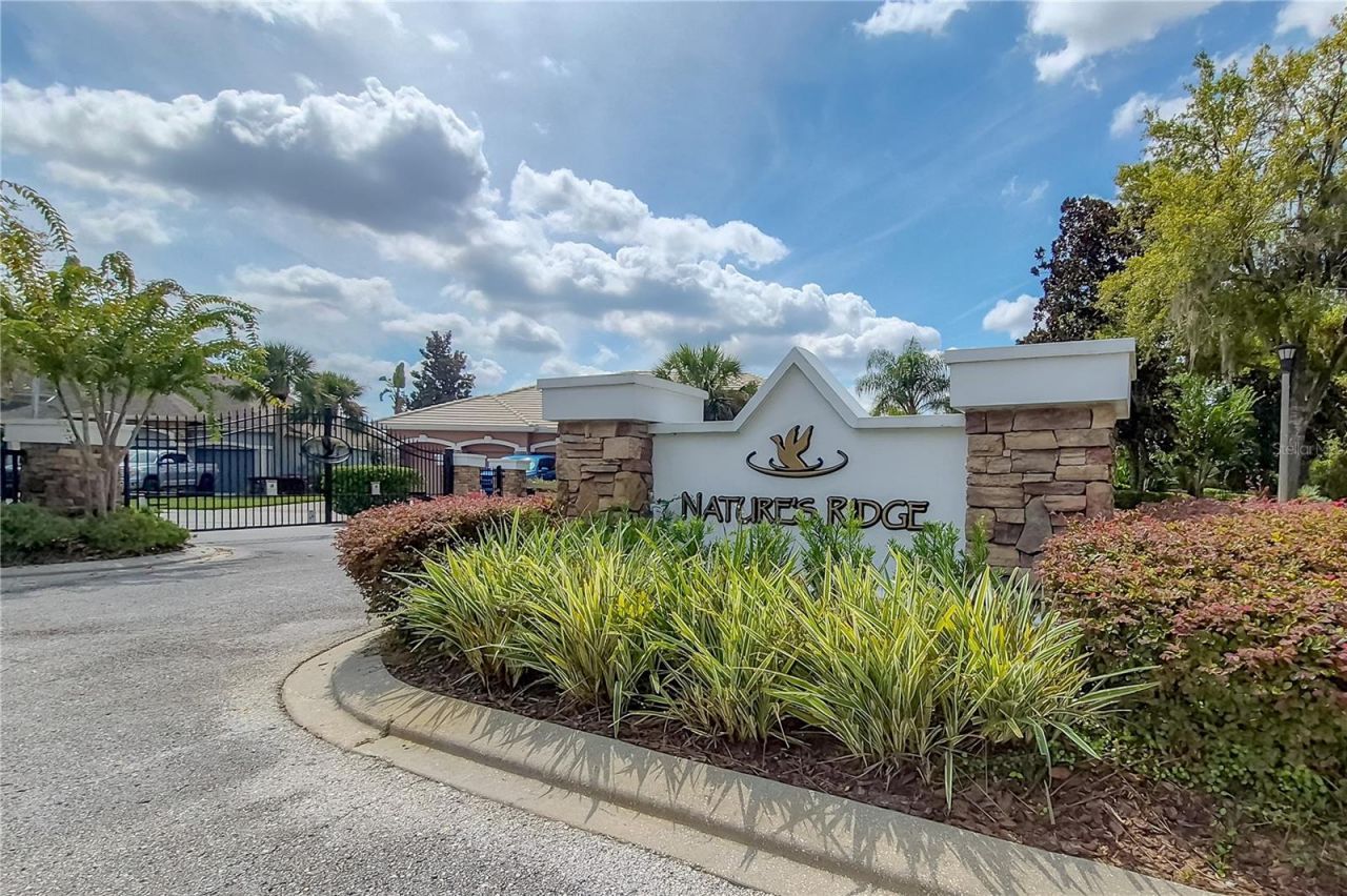 21228 Quiet Haven Court, Land O Lakes, FL 34637 Photo