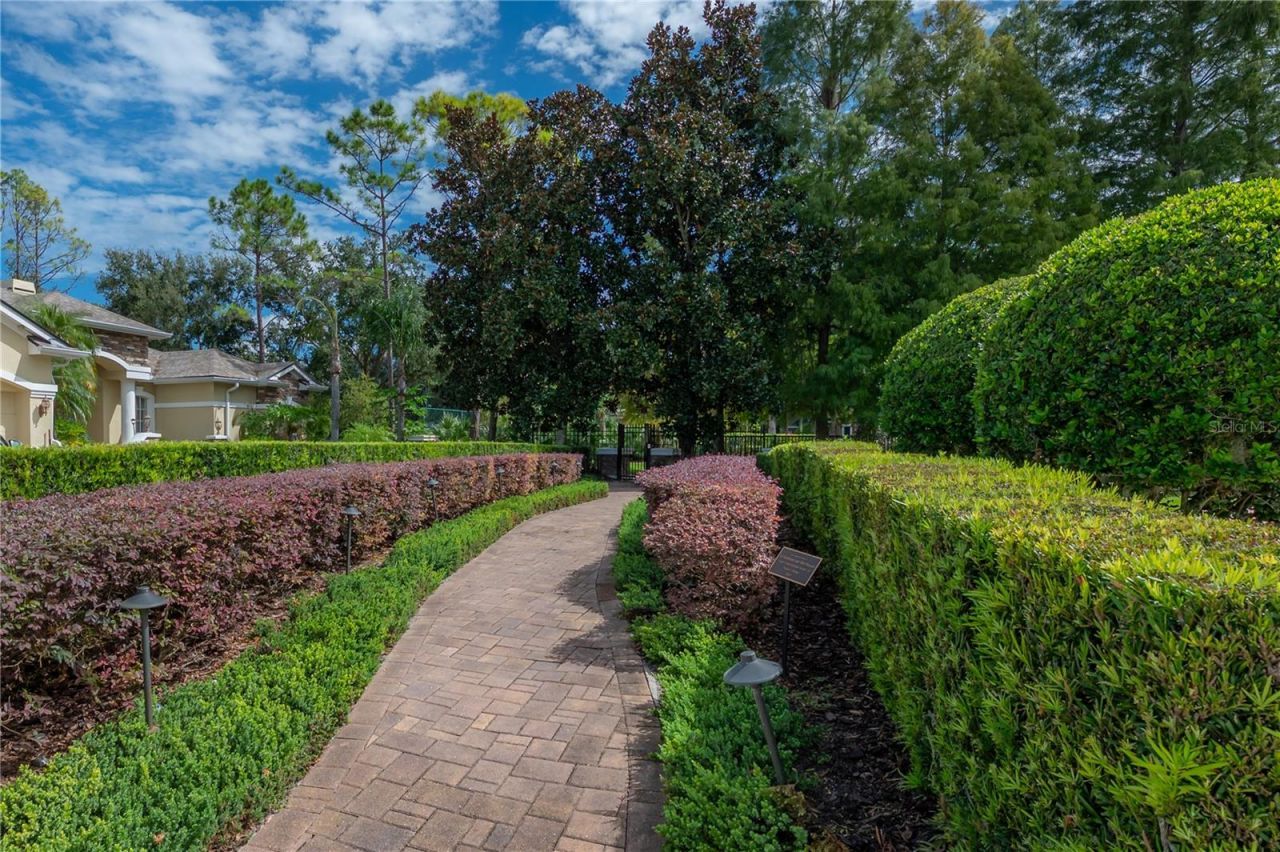 21228 Quiet Haven Court, Land O Lakes, FL 34637 Photo