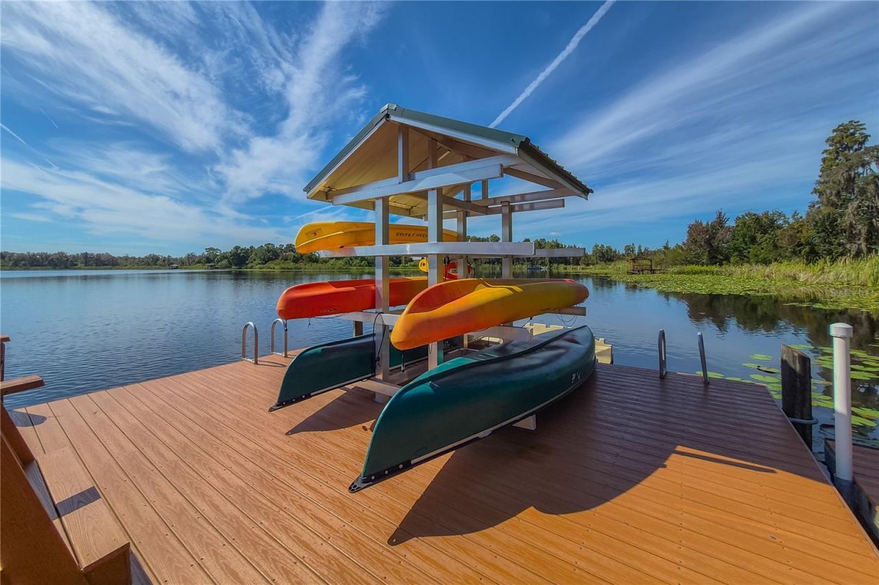 21228 Quiet Haven Court, Land O Lakes, FL 34637 Photo