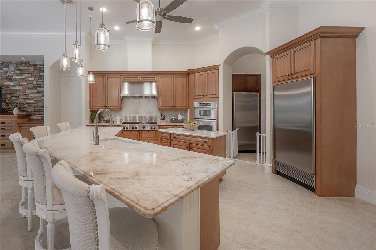 21228 Quiet Haven Court, Land O Lakes, FL 34637 Photo