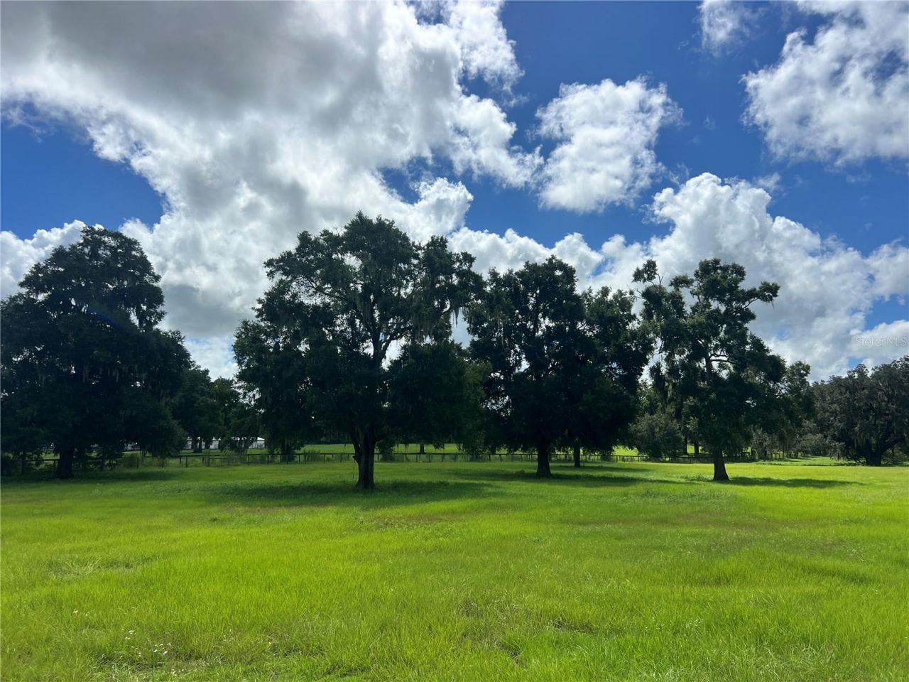 Tbd NW 464b Highway, Morriston, FL 32668 Photo