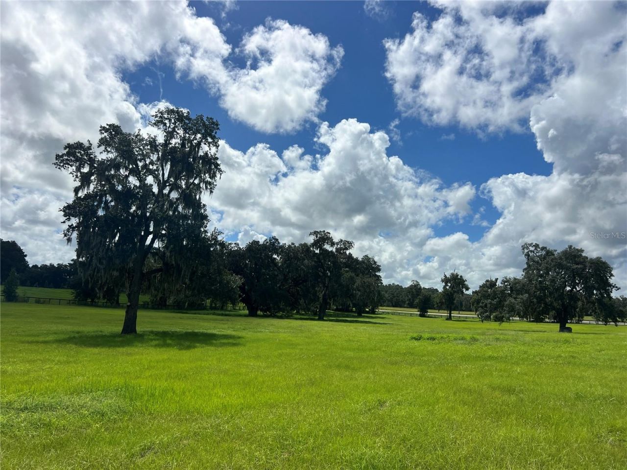 Tbd NW 464b Highway, Morriston, FL 32668 Photo