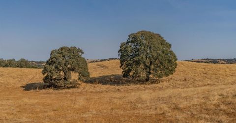 Blue Sky, Ione, CA 95640 Photo