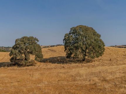Blue Sky, Ione, CA 95640 Photo