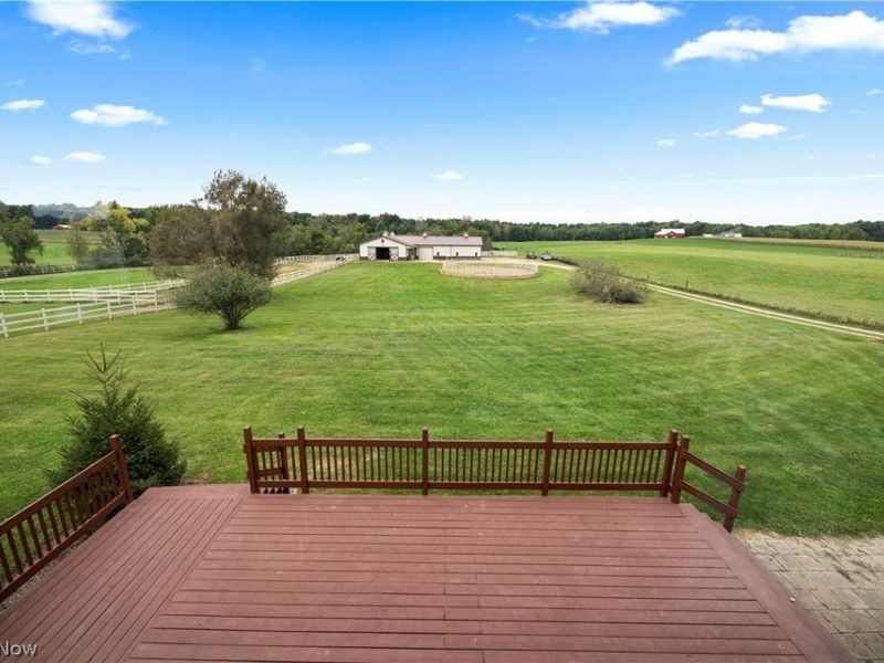 9742 Firestone Road, Homerville, OH 44235 Photo 33