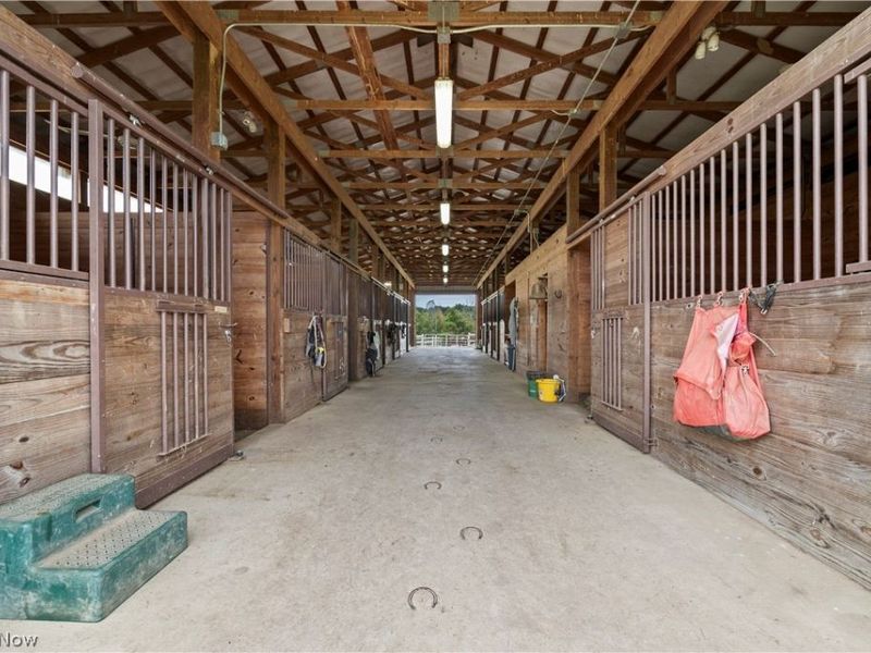 9742 Firestone Road, Homerville, OH 44235 Photo 36