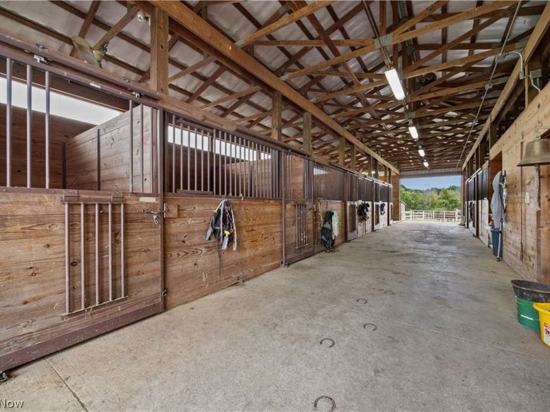 9742 Firestone Road, Homerville, OH 44235 Photo 37