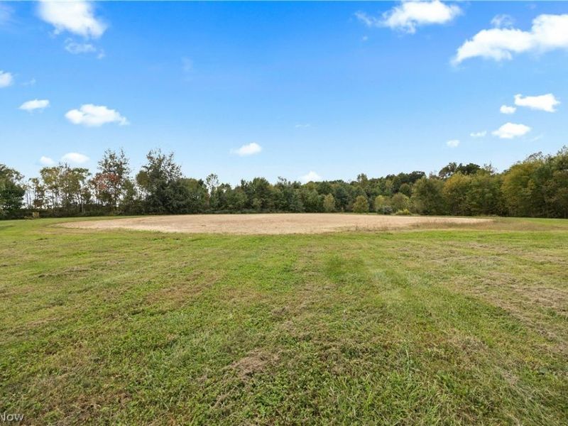 9742 Firestone Road, Homerville, OH 44235 Photo 40