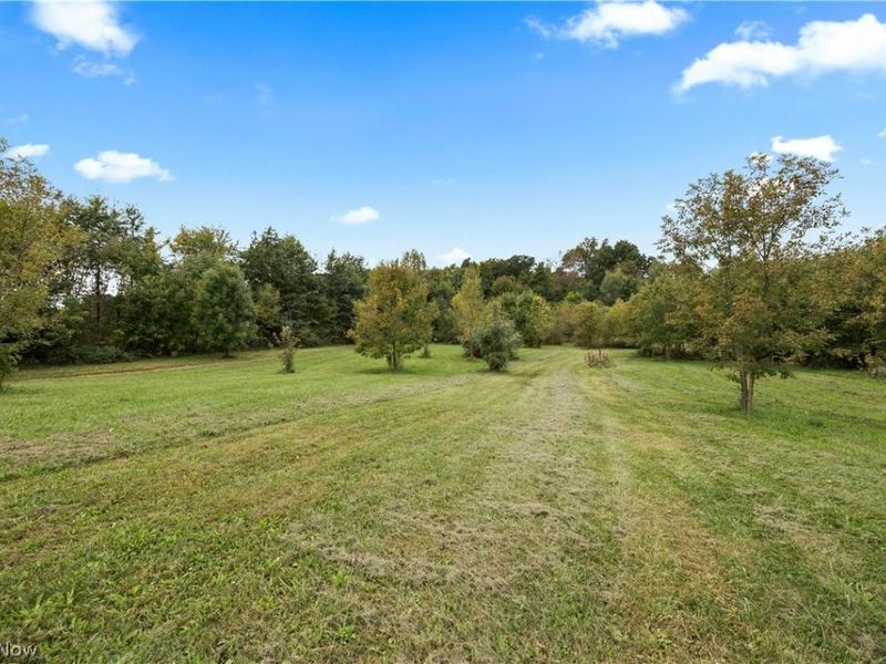 9742 Firestone Road, Homerville, OH 44235 Photo 41