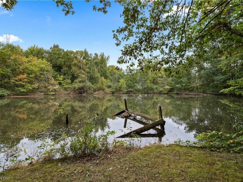 9742 Firestone Road, Homerville, OH 44235 Photo 43