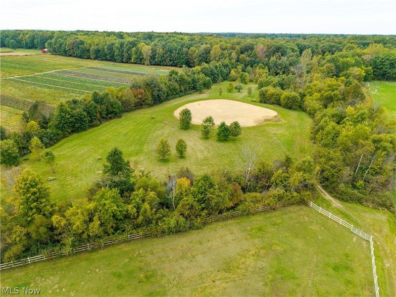 9742 Firestone Road, Homerville, OH 44235 Photo 46