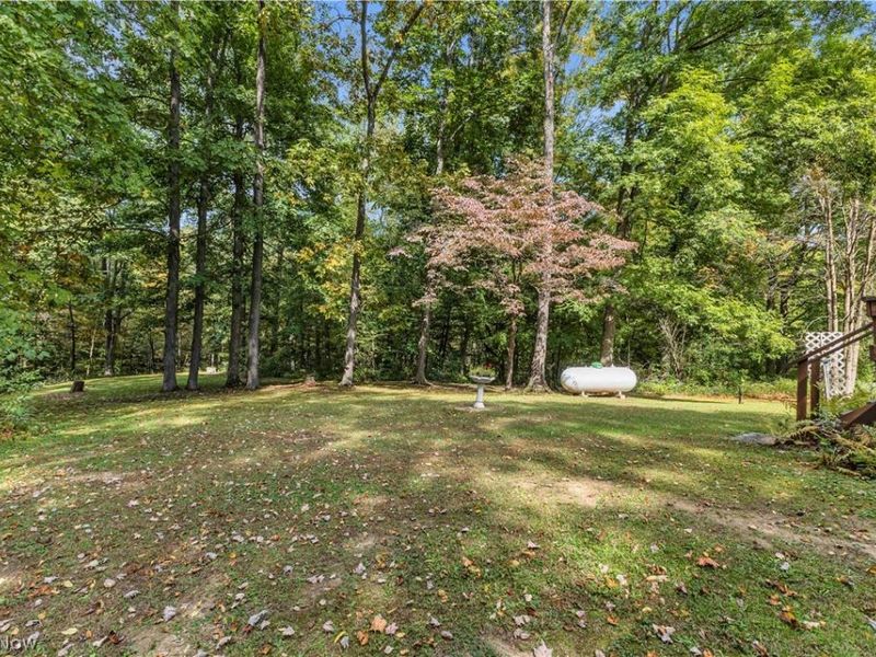 7011 Township Rd 29, Mansfield, OH 44904 Photo 33