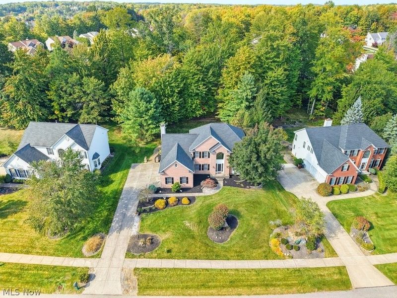 1541 Newton Pass, Broadview Heights, OH 44147 Photo 2