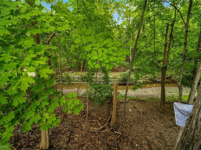 4541 Emerson Road, South Euclid, OH 44121 Photo 32