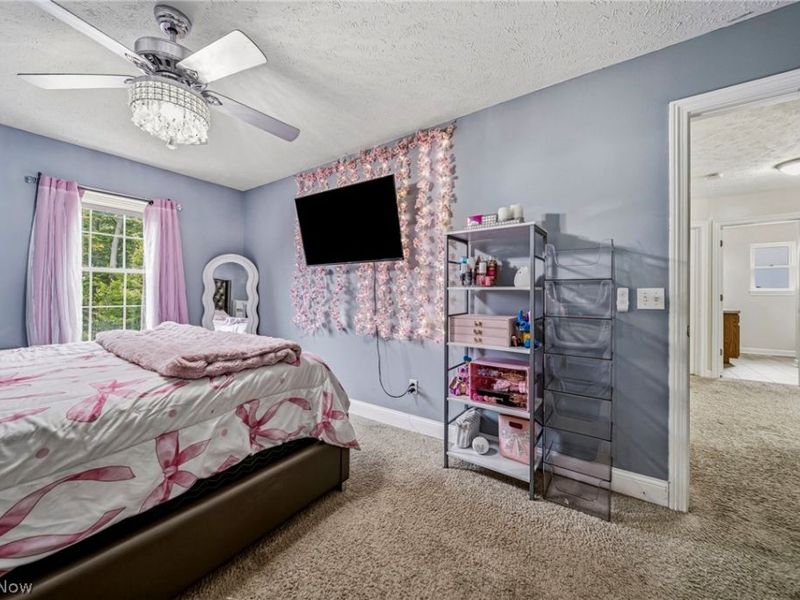 1121 Ashview Drive, Madison, OH 44057 Photo 17
