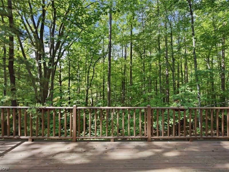 13774 Oak Tree Trail, Chardon, OH 44024 Photo 23