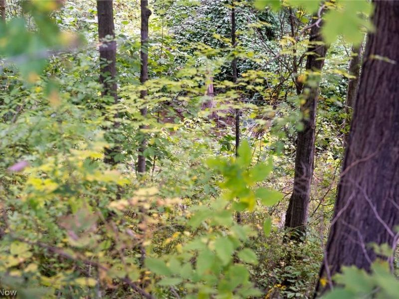 6065 Hopkins Road, Mentor, OH 44060 Photo 10