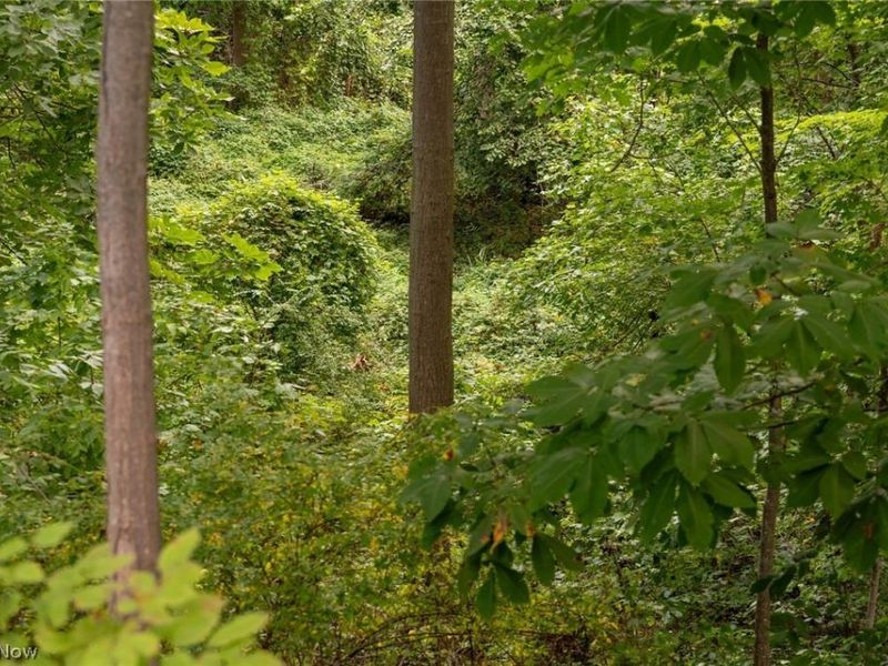 6065 Hopkins Road, Mentor, OH 44060 Photo 11