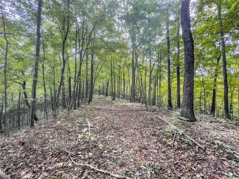 15525 Township Road 287 SE, Glouster, OH 45732 Photo 46