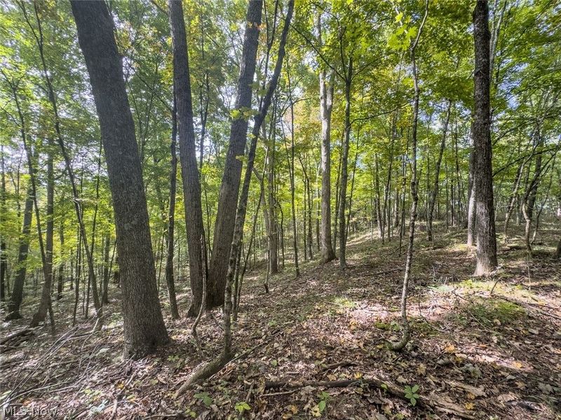15525 Township Road 287 SE, Glouster, OH 45732 Photo 47
