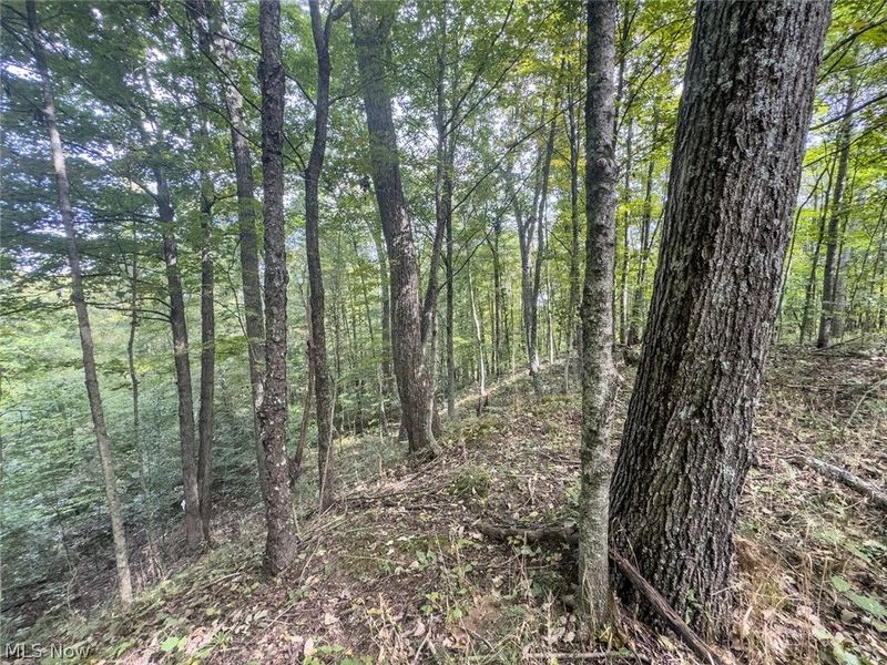 15525 Township Road 287 SE, Glouster, OH 45732 Photo 49