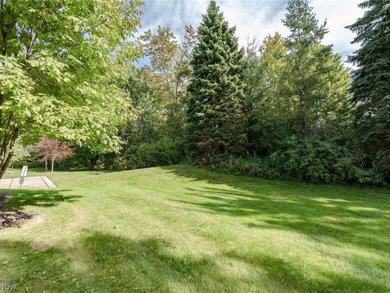 439 Eagle Trce, Mayfield Heights, OH 44124 Photo 24