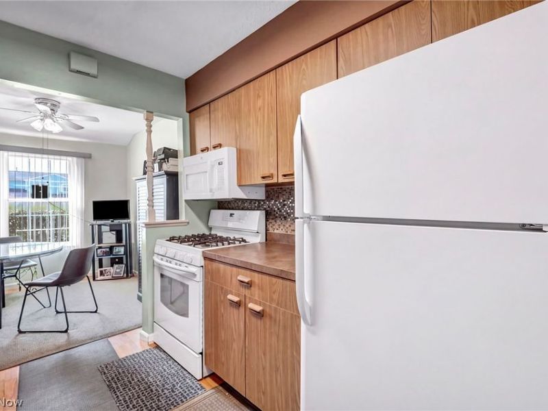 97 Firebush Lane, Northfield, OH 44067 Photo 7
