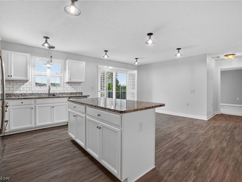 3890 Red Creek Court, Perry, OH 44081 Photo 12