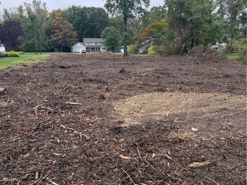 VL Falling Rock Lane, Painesville Township, OH 44077 Photo 3
